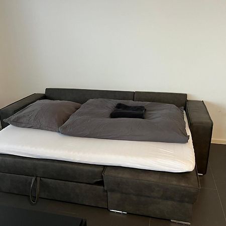 Luxuswohnung Direkt Am Phoenixsee Dortmund Exteriér fotografie